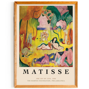 Matisse - The Joy of Life