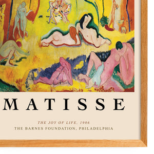 Matisse - The Joy of Life