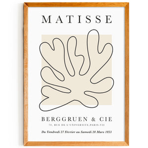 Matisse - Sea Flower