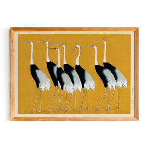 7 Japanese Cranes