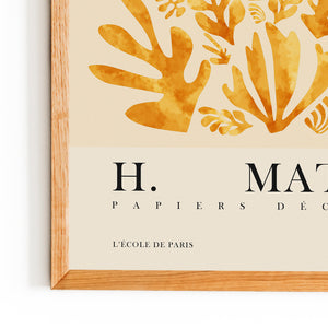 Matisse - Leaf Patterns